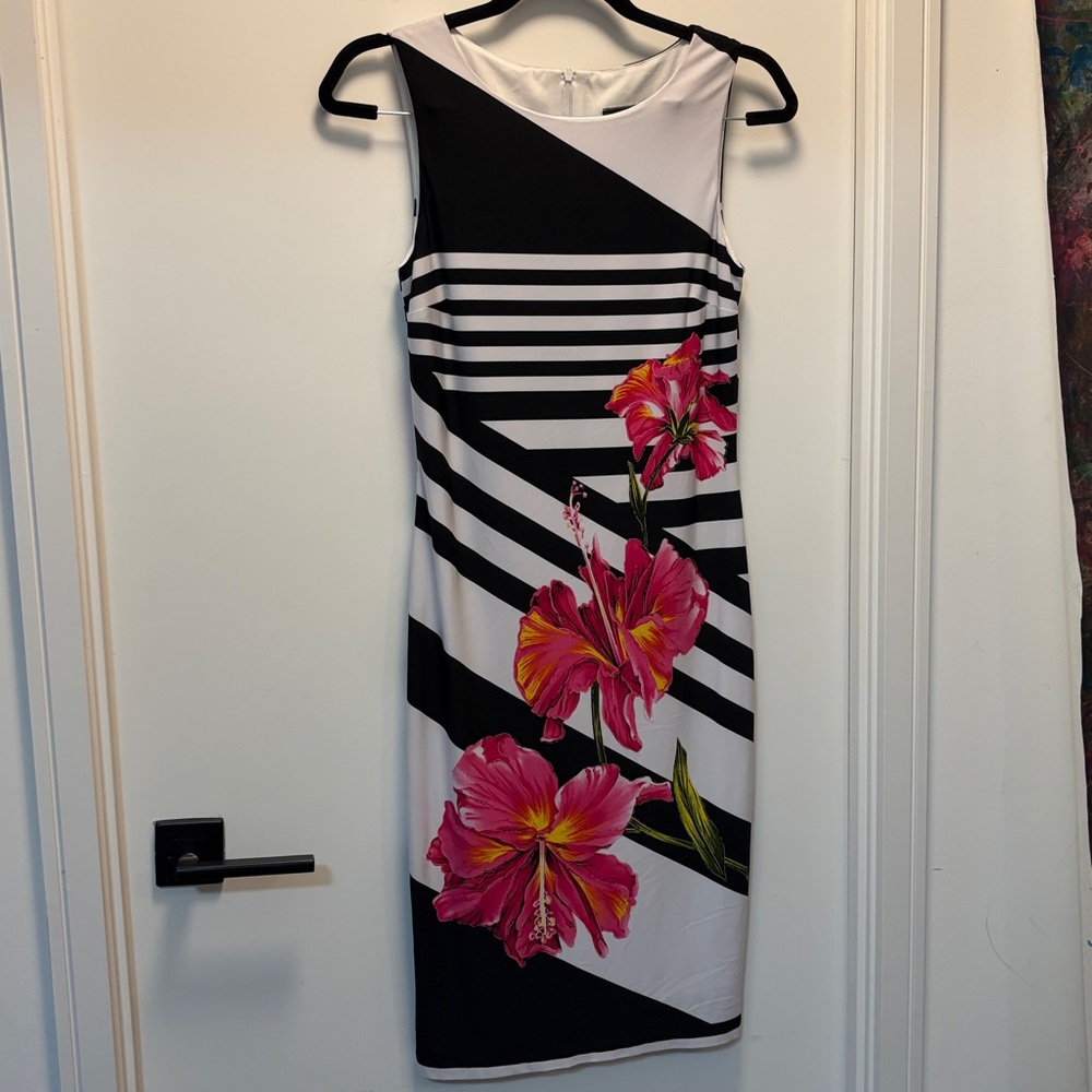 Frank Lyman Design Striped Dress with Pink Floral Pattern